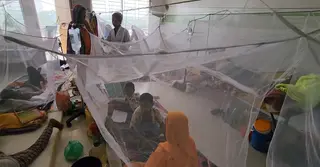বরগুনায় বাড়ছে ডেঙ্গু আক্রান্তের সংখ্যা, হাসপাতালে নেই পর্যাপ্ত চিকিৎসক ও সরঞ্জাম